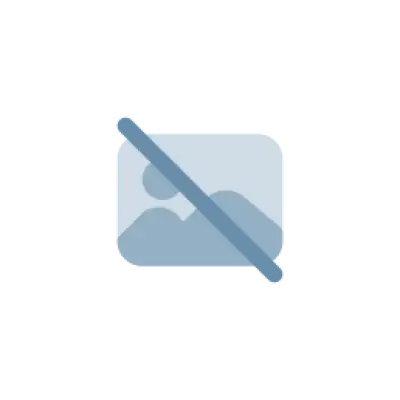 Vibrator Couples Choice